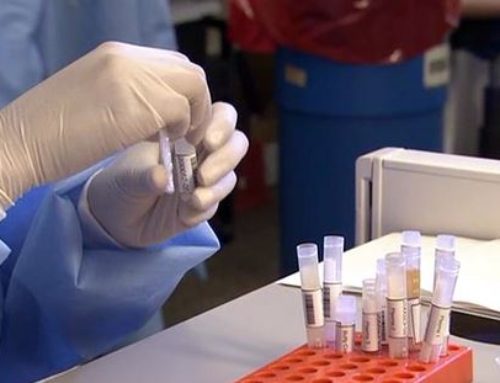 With More Workers Failing Drug Tests, Some Employers Turn to Refugees as Ready Replacements